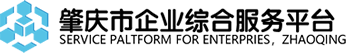 Service Platform for Enterprises, Zhaoqing